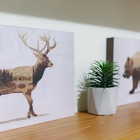 Two Homelike By Ndk And Vitosha Blvd With 2 Free Parking Spots Apartment Sofia