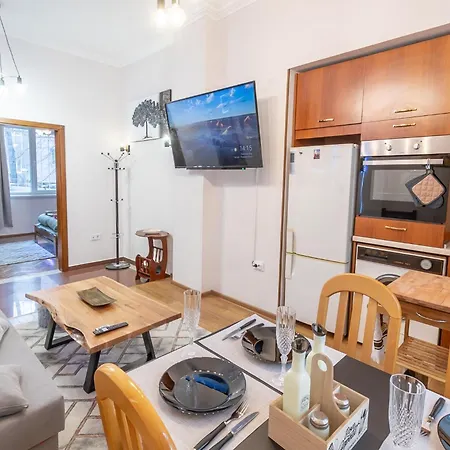 Two Homelike By Ndk And Vitosha Blvd With 2 Free Parking Spots Apartment *