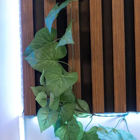 Two Homelike By Ndk And Vitosha Blvd With 2 Free Parking Spots Sofie